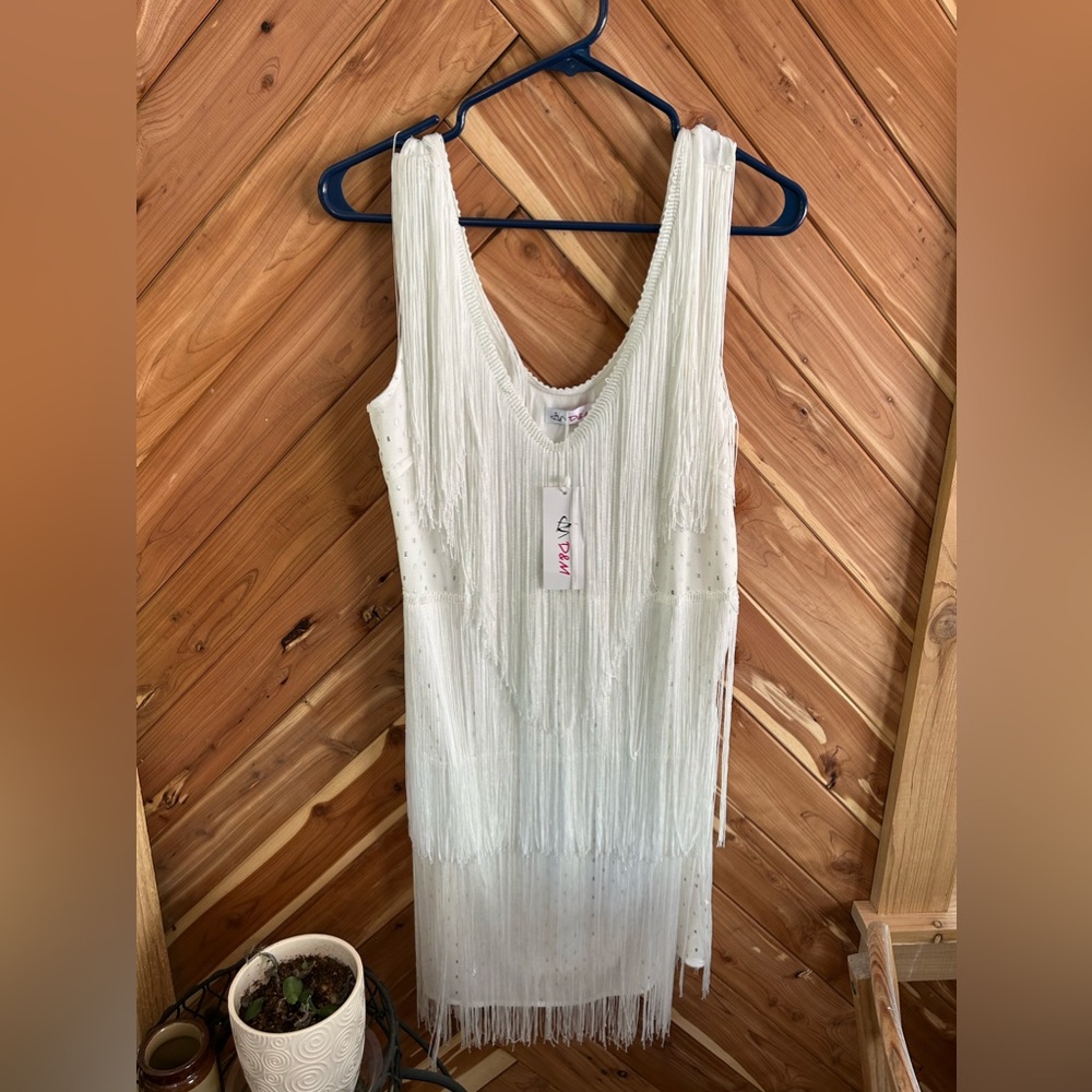 Whit Fringe Dress- Size Large (never worn!)